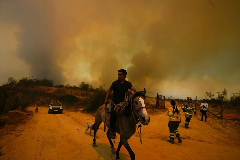 智利中部瓦尔帕莱索大区森林火灾造成的死亡人数已上升至46人，且可能进一步增长