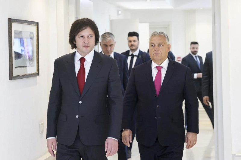 数万名格鲁吉亚民众28日晚在议会外举行抗议集会，要求取消此前的议会选举结果